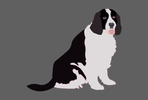 Dog Illustrator