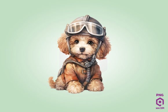 Poodle Dog in Helmet PNG