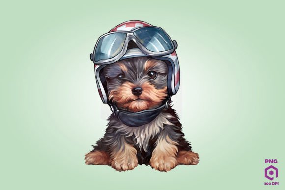 Yorkshire Terrier Dog in Helmet PNG